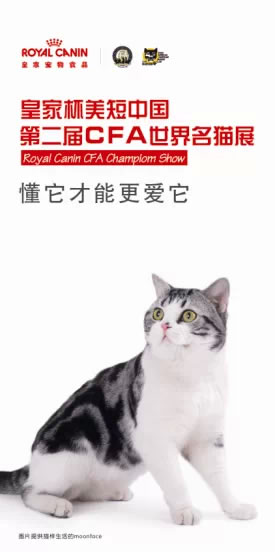 ʼұЇڶCFA؈չ_Ļ.jpg