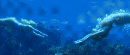 1.3.gif