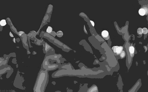 2-03.gif