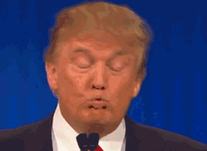 007.gif