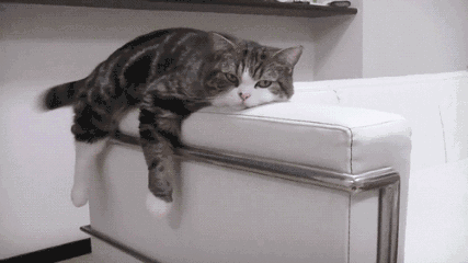 9.gif